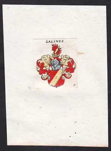 Salines - Salines Wappen Adel coat of arms heraldry Heraldik