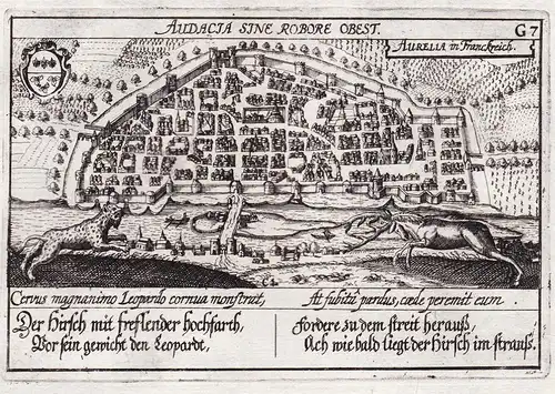 Aurelia in Franckreich - Orleans / Loiret / Centre-Val-de-Loire / France / Frankreich