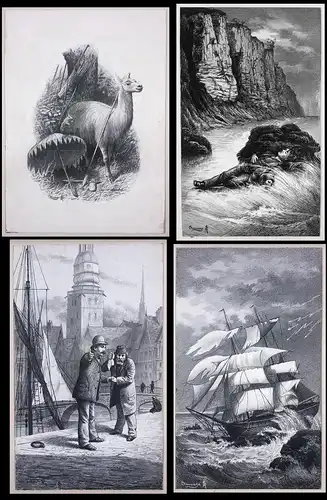 Nuevo Robinson - Unique and splendid collection of 33 unpublished drawings for Campe's adaption of Daniel Defo