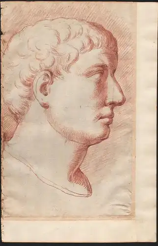 (Studie eines männlichen Kopfes) - Studie study head Kopf Antike antiquity Statue