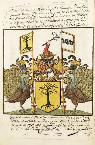 Armorial of the Belgian Van de Velde family