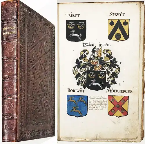 Flanders Armorial Manuscript