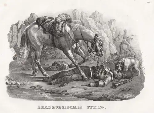 Franzoesisches Pferd - French horse / Pferd / horses / Soldat soldier