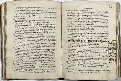 Iulii Pacii a Beriga in institutiones iuris civilis erotemata. Monspelii, 1614 / Procemium