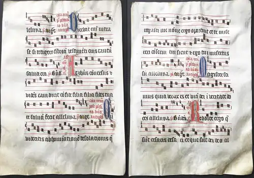 Very rare large elephant folio vellum sheet. Out of an Antiphonary manuscript from the 15th century. / Seltene