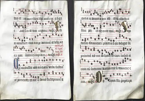 Very rare large elephant folio vellum sheet. Out of an Antiphonary manuscript from the 15th century. / Seltene