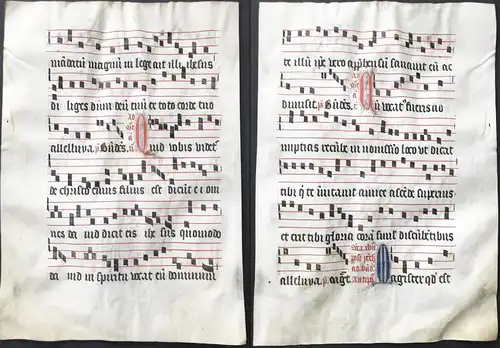 Very rare large elephant folio vellum sheet. Out of an Antiphonary manuscript from the 15th century. / Seltene