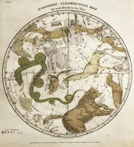Northern circumpolar map - Northern skies chart map heaven stars celestial Himmelskarte