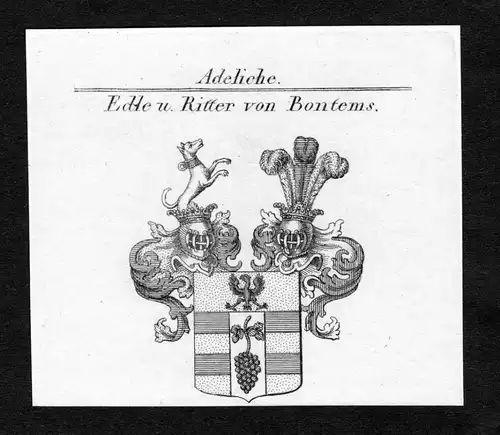Edle u. Ritter von Bontems - Bontems Wappen Adel coat of arms Kupferstich  heraldry Heraldik