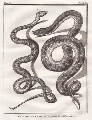 1. Le Bajobi. 2. La Broderie - snake Schlange snakes Schlangen