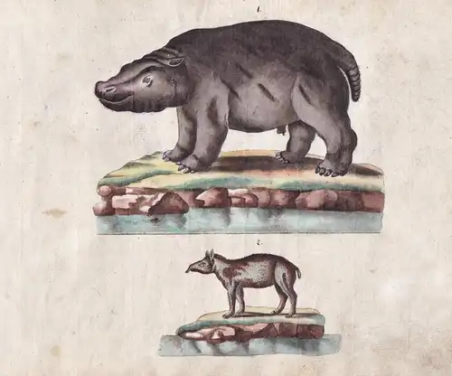 No. 150 - Nilpferd Tapir / hippo hippopotamus