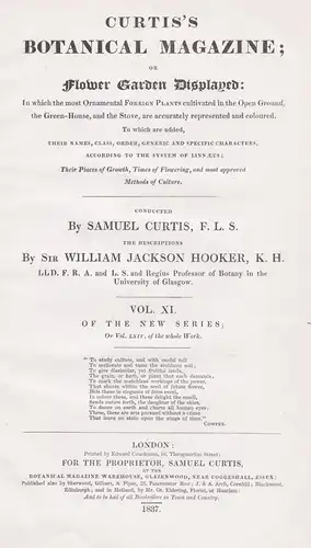 Curtis's Botanical Magazine; or Flower-Garden Displayed - Vol. XI Titelblatt Titel title Index / flower flower