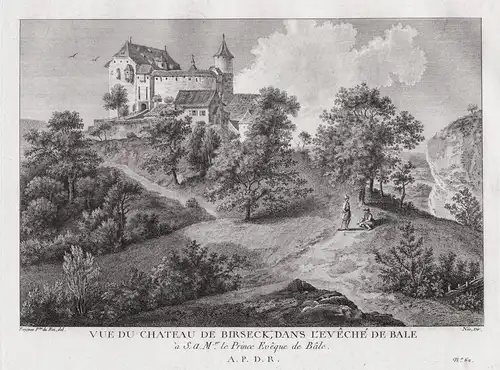  Vue du chateau de Birseck, dans l'Eveche de Bale - Schloss Birseck Burg Arlesheim chateau  / Schweiz Suisse