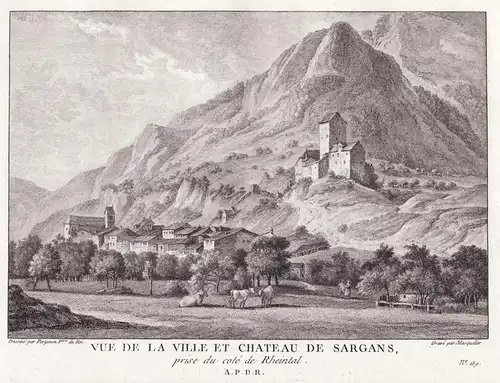 Vue de la Ville et Chateau de Sargans, prise du cote de Rheintal - Sargans Kanton St. Gallen / Schweiz Suisse