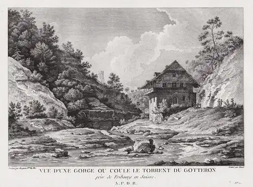 Vue d'une Gorge ou Coule le Torrent du Gotteron pres de Fribourg en Suisse - Gotteron Freiburg Üechtland Gorge
