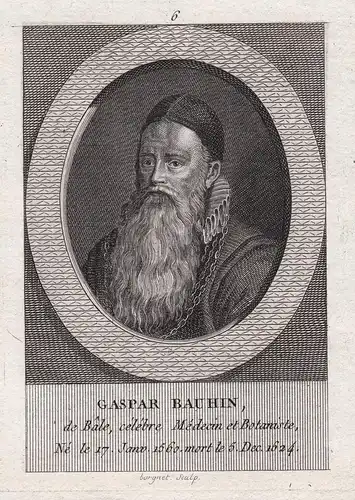 Gaspar Bauhin - Caspar Bauhin (1560-1624) Botaniker botanist Basel Portrait