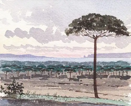 (Landschaft mit Bäumen. / Landscape with trees.)