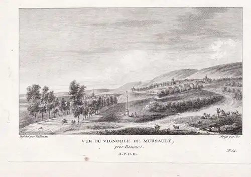 Vue du Vignoble de Mursault, prés Beaune - Meursault vignoble Cote-d'Or Bourgogne Ansicht view vue