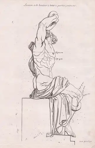 Laocoon a de hauteur ... - Laocoon figure Laokoon mythology proportions Mythologie Proportionen