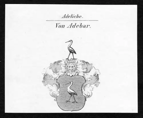 Von Adebar - Adebar Wappen Adel coat of arms Kupferstich  heraldry Heraldik