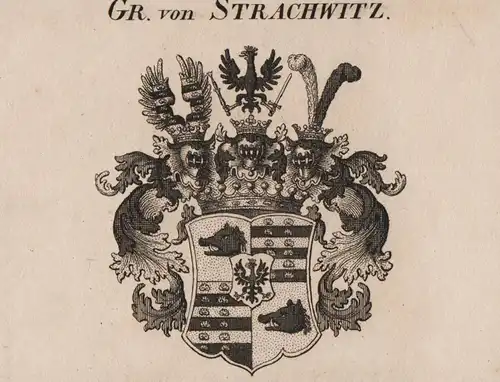 Gr. von Strachwitz - Strachwitz Wappen Adel coat of arms Kupferstich  heraldry Heraldik