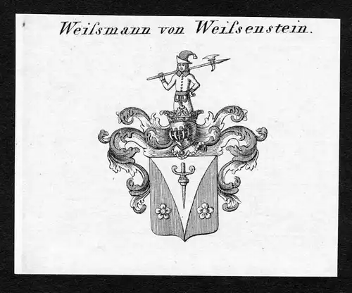 Weissmann von Weissenstein - Weissmann von Weissenstein Wappen Adel coat of arms Kupferstich  heraldry Heraldi