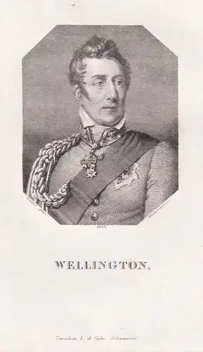 Wellington - Arthur Wellesley, 1st Duke of Wellington (1769-1852) soldier Soldat statesman Staatsmann / Portra