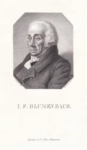 I. F. Blumenbach - Johann Friedrich Blumenbach (1752-1840) anatomist Anatom Mediziner / Portrait