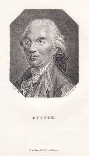 Buffon - Georges Luis le Clerc, Comte de Buffon (1707-1788) Naturforscher naturalist Mathematiker mathematicia