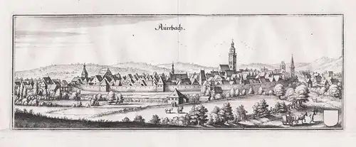 Auerbach - Auerbach in der Oberpfalz Bayern