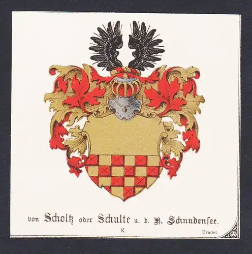 . von Scholtz Schulte Wappen Heraldik coat of arms heraldry Lithographie