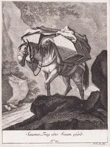 Saeumer, Trag oder Saum Pferd. N.21 - Pferd horse