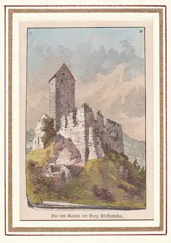 Vor den Ruinen der Burg Pfaffenhofen - Schweppermannsburg Pfaffenhofen Burgruine / Bayern