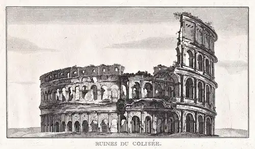 Ruines du Colisée - Colosseum Kolosseum / Roma Rome Rom / architecture Architektur