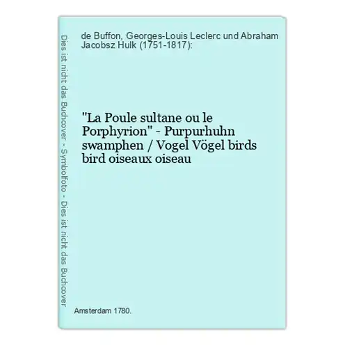 La Poule sultane ou le Porphyrion - Purpurhuhn swamphen / Vogel Vögel birds bird oiseaux oiseau