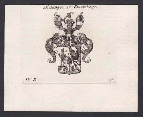 Aichinger zu Bluembegg - Aichinger Bluembegg Wappen Adel coat of arms heraldry Heraldik Kupferstich