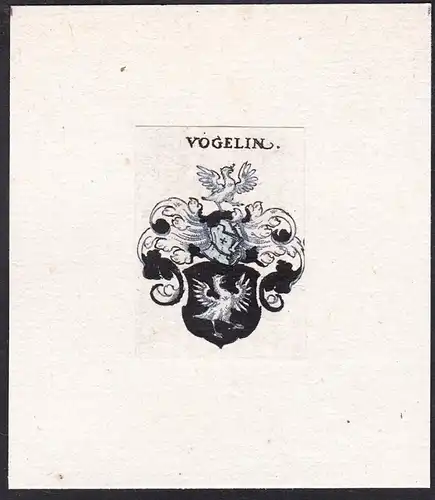 Vögelin - Wappen coat of arms heraldry Heraldik