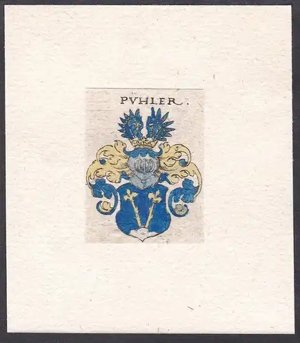 Pühler - Wappen coat of arms heraldry Heraldik