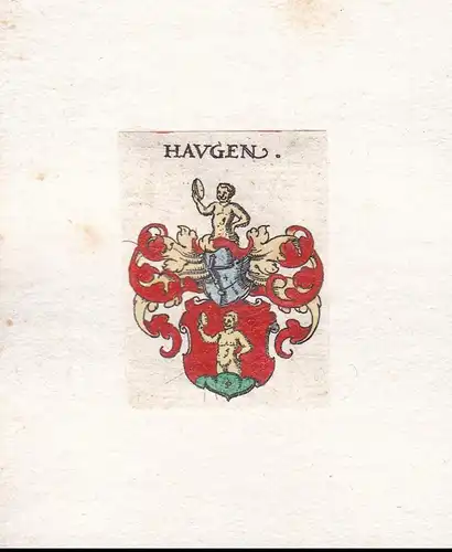 Haugen - Wappen Adel coat of arms heraldry Heraldik