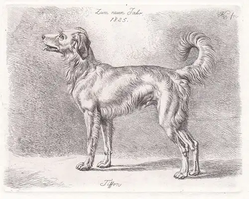 Zum neuen Jahr 1825 / Tiffon - Hund dog chien / Neujahr