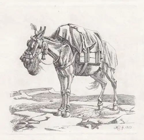 (Das Maulthier mit dem Futtersack) - Maultier mule