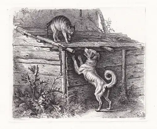 (Die Katze auf dem Stall) - cat chat / Hund dog chien