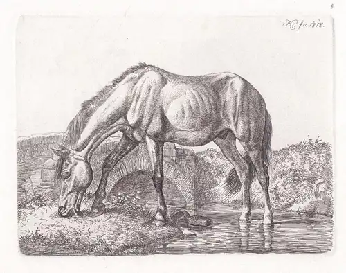 (Das grasende Pferd an der Brücke) - Pferde horses horse cheval