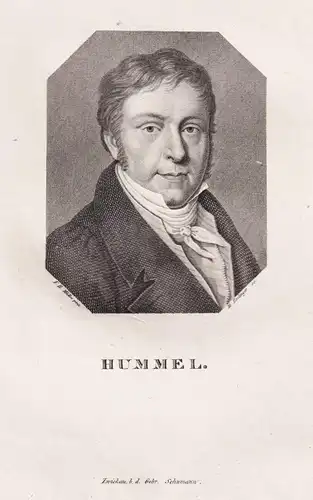 Hummel - Johann Nepomuk Hummel (1778-1837) Pianist composer Komponist / Portrait