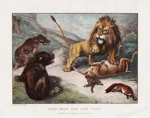 Lion Bear Fox and Wolf - Löwe lion Bär bear Wolf Fuchs Fox deer Hirsch / Zoologie zoology animals Tiere