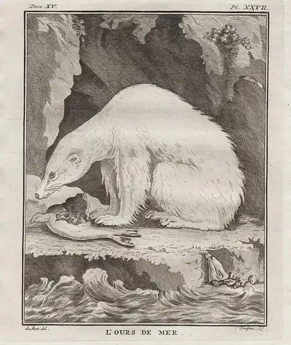 L'Ours de mer. - Eisbär Polarbär Bär polar bear Ours blanc / Tiere Tier animals animal animaux