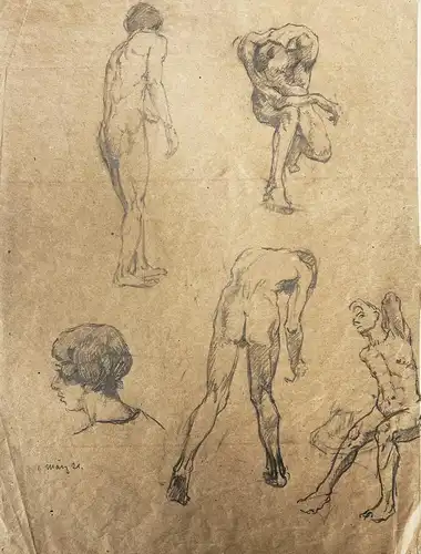 (Skizzenblatt) / männliche Akt Akte nude male nudes
