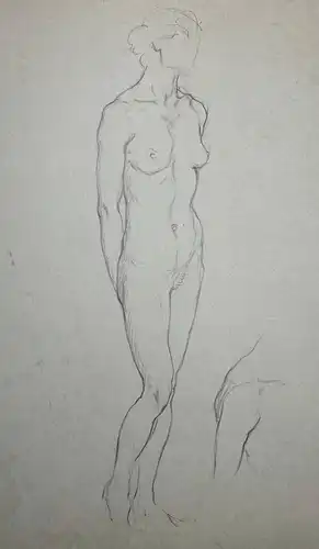 (Stehender weiblicher Akt) - Frau femme woman / nude