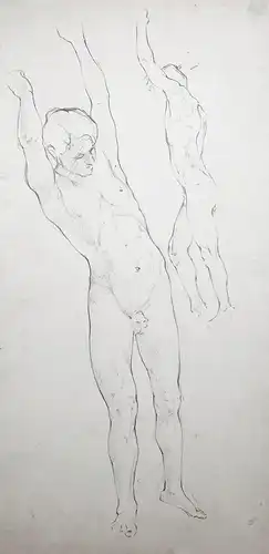 (Zwei Aktstudien / Two male nude studies) - Junger Mann Jüngling Akt / young man nude