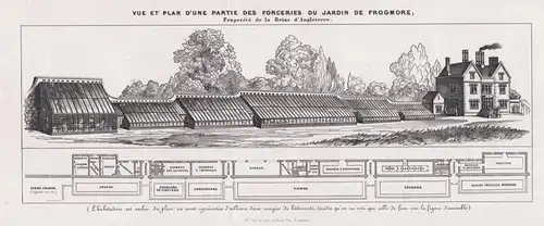 Vue et Plan D'une Partie des Forceries du Jardin de Frogmore - Frogmore garden Windsor Berkshire Lithographie